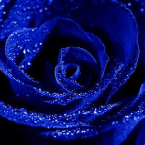 Meet your Posher, Htee